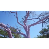 Погулять - 22.jpg Погулять - 22.jpg